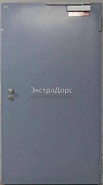 Противопожарная дверь однопольная дымогазонепроницаемая металлик в Серпухове  купить