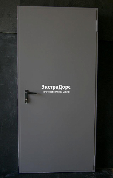 Дверь металлическая противопожарная EI 60 ДПМ 2 типа серая в Серпухове  купить