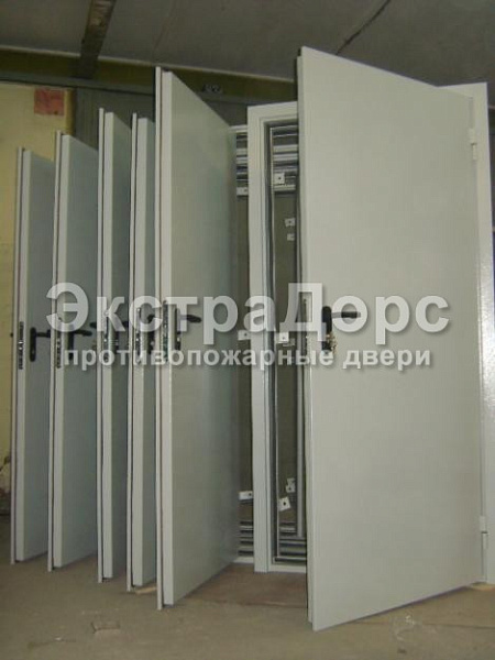 Противопожарная глухая одностворчатая дверь